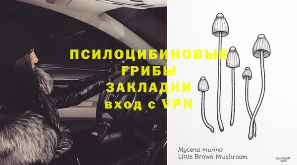 МДМА Снежногорск