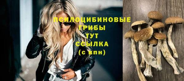 метамфетамин Снежинск