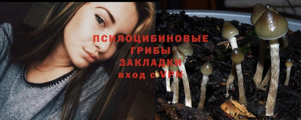 МДМА Снежногорск